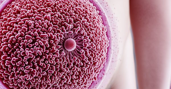 Infection urinaire à escherichia coli : symptômes et traitements